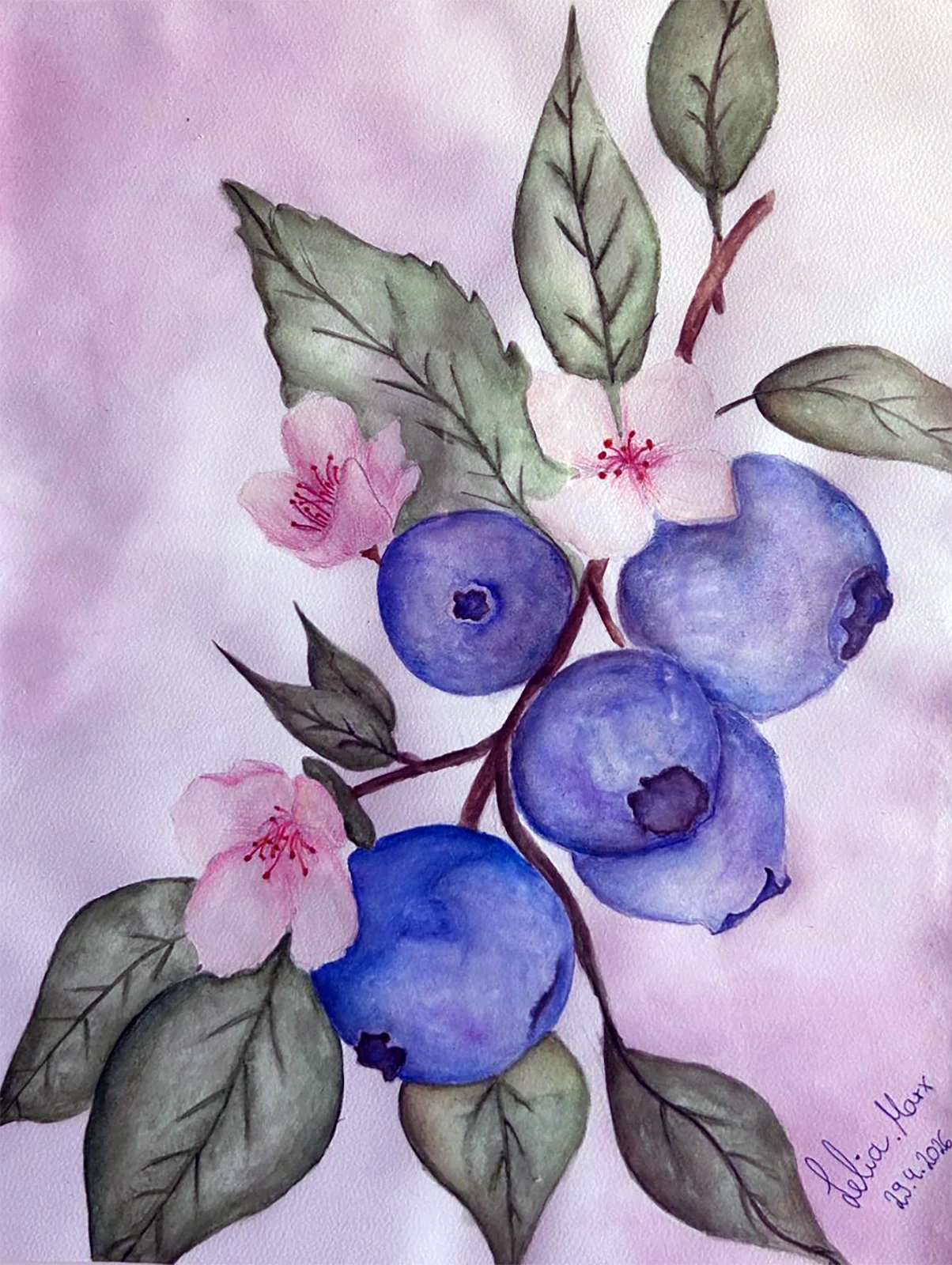 Aquarell eines Zweiges mit blauen Beeren und Blüten