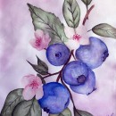 Delia Marx 11 Jahre Aquarell.jpg