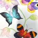 Amalia Sauer 16J Aquarell.jpeg